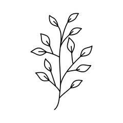 branch with leafs nature ecology isolated icon vector illustration design