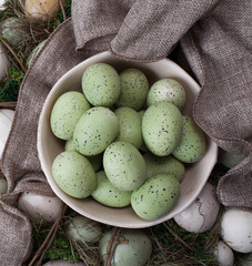 Colorful green Easter eggs in a white ceramic bowl to celebrate Spring