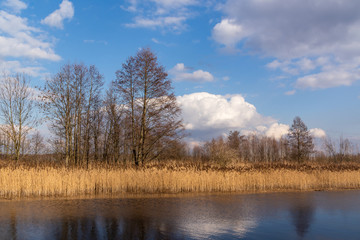 Kanał Augustowski w Dębowie. Biebrzański Park Narodowy, Podlasie, Polska 