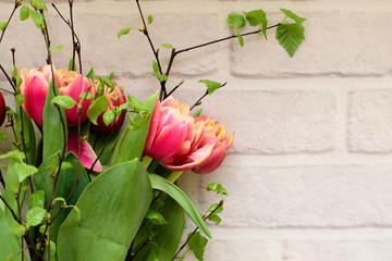 Bright spring bouquet of colorful tulips and blossoming branches of a birch on the white brick background.Present concept for Birthday, mother's Day and Easter.