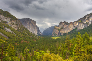 Fototapeta premium Yosemite National Park located in Yosemite Valley, California, USA.