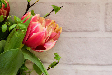 Bright spring bouquet of colorful tulips and blossoming branches of a birch on the white brick background.Present concept for Birthday, mother's Day and Easter.