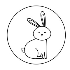 cute rabbit animal in frame circular vector illustration design