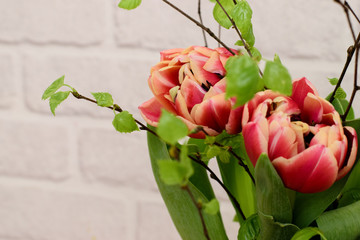 Fototapeta premium Bright spring bouquet of colorful tulips and blossoming branches of a birch on the white brick background.Present concept for Birthday, mother's Day and Easter