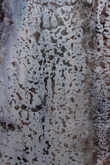 Blurry image of dirty wall texture, cropped shot. Abstract background with a lot of copy space for text.