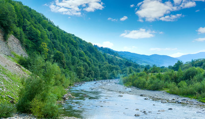 Naklejka na ściany i meble Photo of mountain river with green misty thick Carpathian forest at summer day in mountains