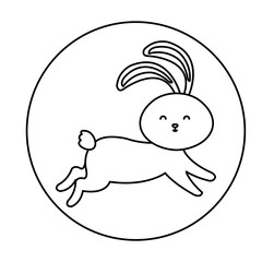 cute rabbit animal in frame circular vector illustration design