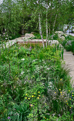 A natural garden with wild and formal flowers , plants and trees in an Urban gargden