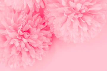 Beautiful abstract color white and pink flowers on white background and white graphic flower frame and pink leaves texture, pink background, colorful graphics banner happy valentine day
