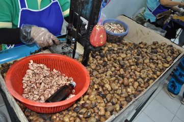 noix de cajou décorticage