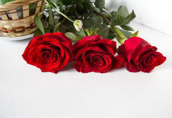 Three red roses lie on a white background. Flowers close-up. There is room for inscription