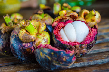 Mangosteen