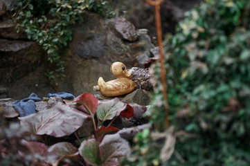 country landscape design, decorative design of a site, spring