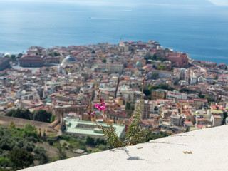 Obraz premium Fiore sopra Napoli