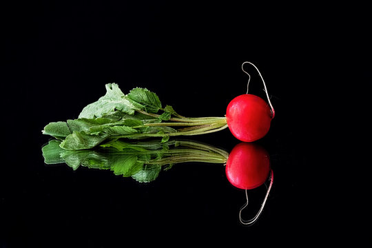 Red Radish Lies On Black Mirror Surface