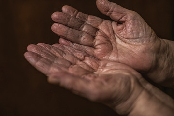 Obraz na płótnie Canvas Human hands are the wrinkled hands of an adult, a grandmother over 90 years old.
