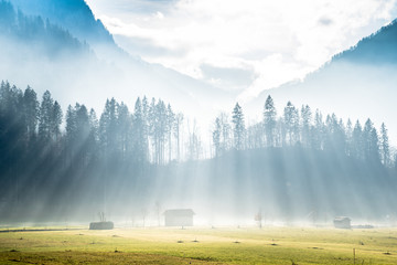 Sunrise in Alpine meadow