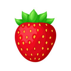Fototapeta premium Ripe juicy strawberries. Fresh red berry fruit. Colorful simple flat cartoon style. Isolated vector illustration.
