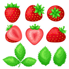 Set of ripe juicy strawberries. Whole berry fruits and slices of different shapes. Green leaves. Colorful simple flat cartoon style. Isolated vector illustration.