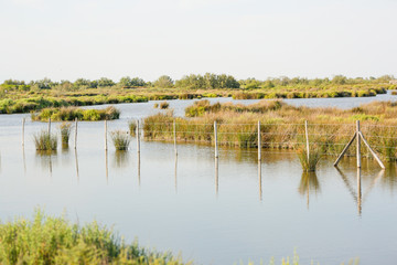 Saintes-Maries-de-la-Mer, capital of the Camargue: wonderful landscape of the lagoon in the south...