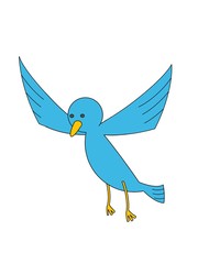 illustration of blue bird