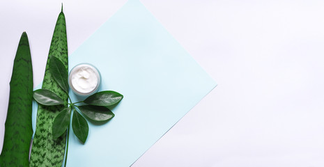 Concept of natural beauty products. With white  cream for skin care on a pastel blue background with green leaves. Top view and copy space