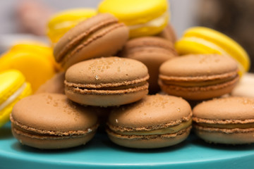A lot of brown cookies and a little yellow. Very colorful composition.