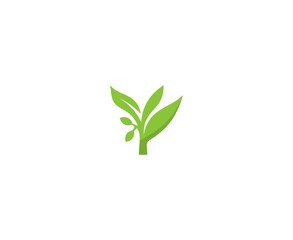 Fototapeta premium Plant logo