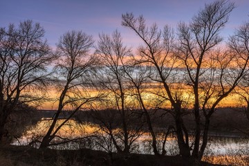 Obraz na płótnie Canvas Through the sunset branches 