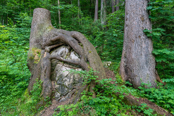 Hiking and climbing on the Tegelberg
