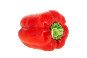 Red Bell Pepper - ripe and fresh