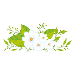 cute flowers with leafs isolated icon vector illustration design