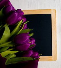 beautiful purple tulips, spring flowers