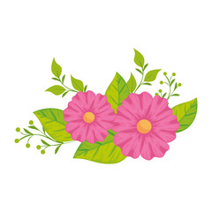 cute flowers with leafs isolated icon vector illustration design