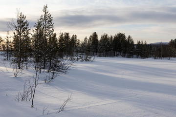 Snowy landscape with traces of the snowmobile, winter in the forest
