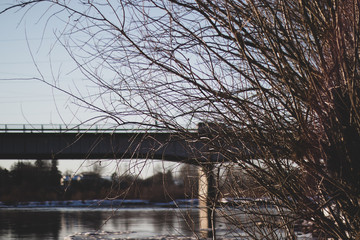 A large area of brush on a riverbank in front of a bridge