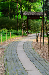 A sunny path in the park
