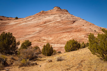 Fototapeta premium Rocks and Mountains along a trail to Tunnel Slot during sunny day with blue sky in Escalante National Monument, Grand Staircase trail, Utah, USA