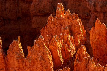 Red rock formations, so called hoodoos at sunset at Bryce Canyon National Park, Utah