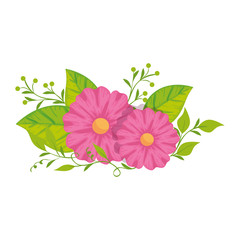 cute flowers with leafs isolated icon vector illustration design