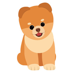 Obraz premium Dog breed spitz. Vector illustration