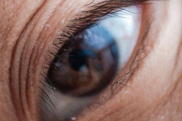 close up of human eye