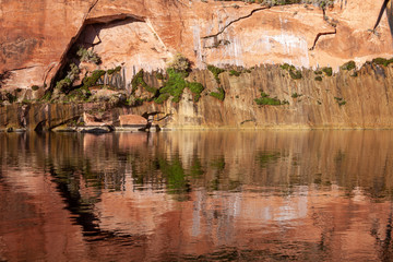 colorado river in canyon