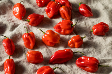 Raw Red Organic Habanero Peppers