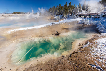 Colorful Porcelain Basin area trail in Yellowstone National Park, Wyoming, USA