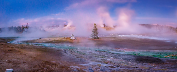 Colorful Norris Geyser Basin area trail during colorful sunset in Yellowstone National Park,...