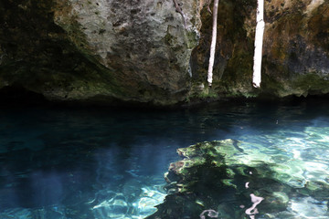 cenote 1