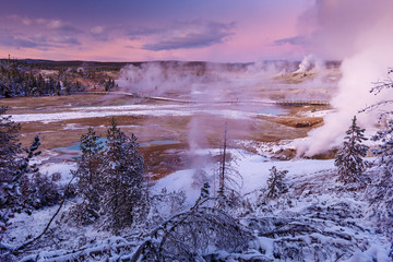 Colorful Norris Geyser Basin area trail during colorful sunset in Yellowstone National Park, Wyoming, USA