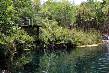 Fototapeta na wymiar Cenote Tulum