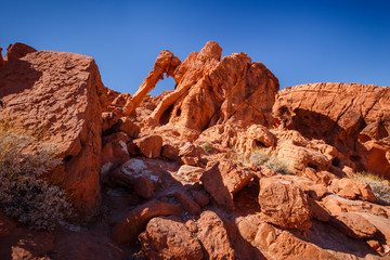 Obraz premium Elephant Rock during sunny day with blue sky, Valley of Fire State Park, Nevada, USA